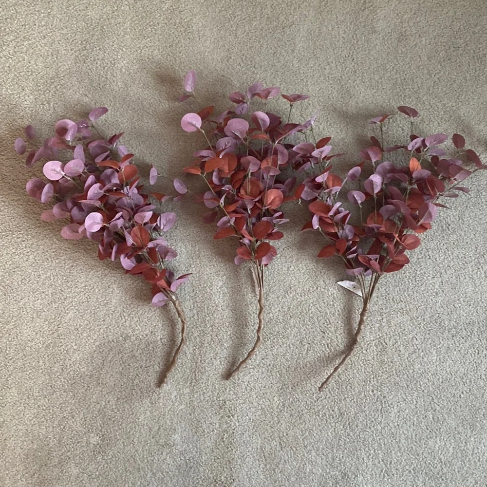 Ragoon House Rust/Burgundy Eucalyptus